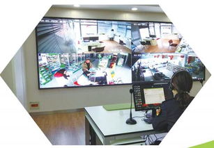 打造食品安全城市典范 東臺市政府門戶網站專題建設方案