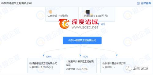 官方處罰公告的嚴謹性與企業(yè)的沉默 房地產(chǎn)信息咨詢行業(yè)的監(jiān)管反思